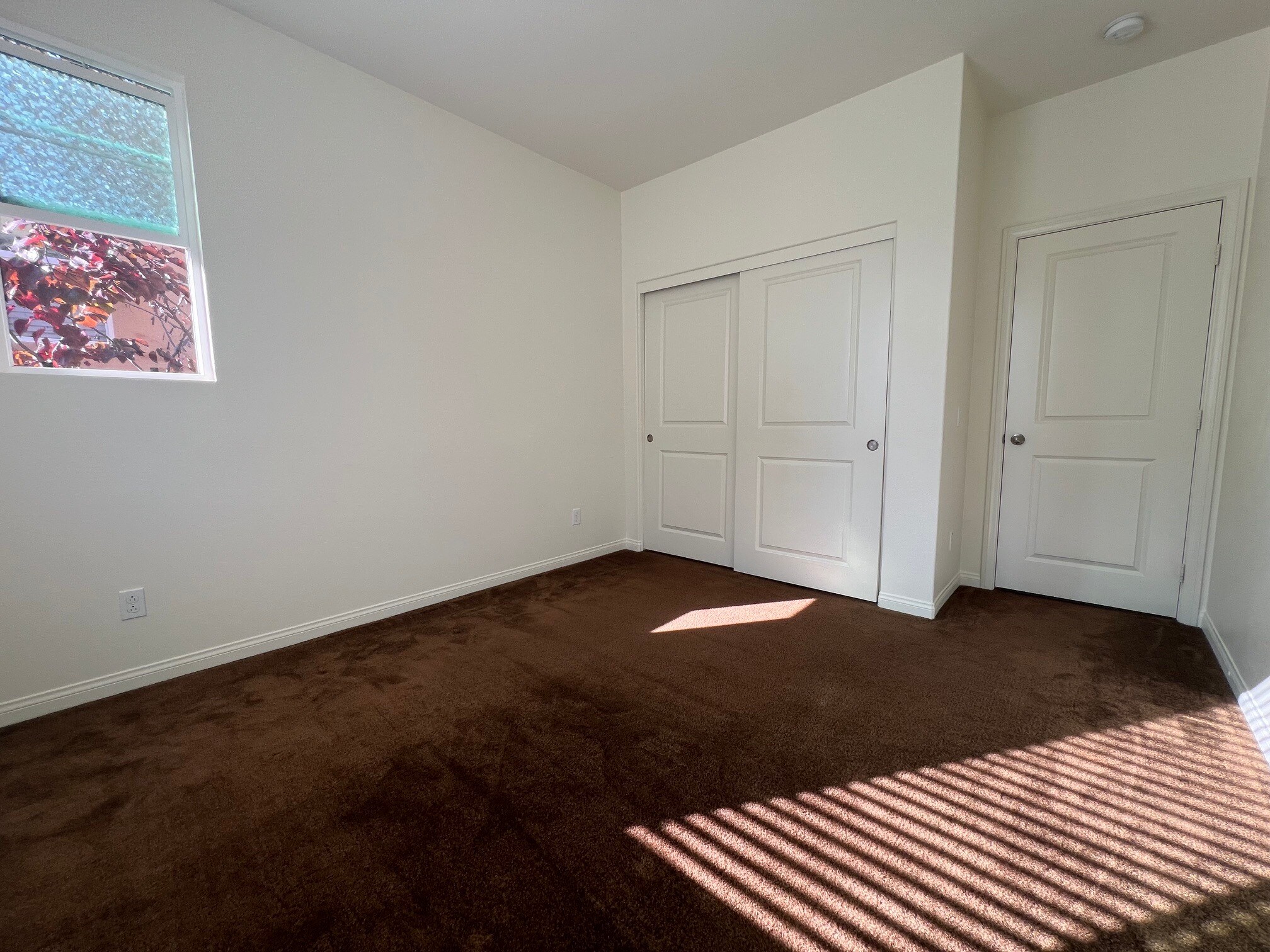Building Photo - 1707 Frangipani Ave