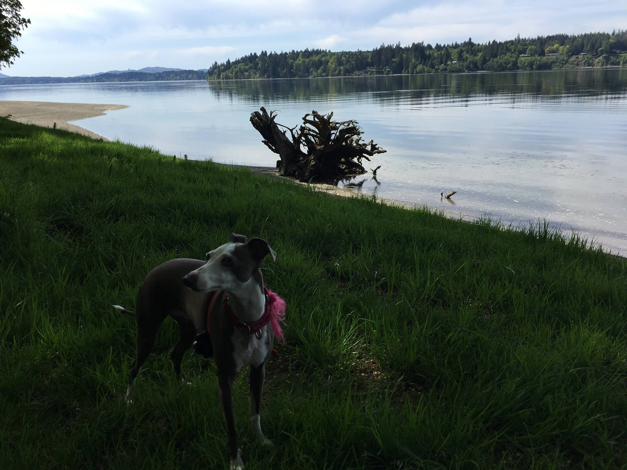 Building Photo - 9621 Steamboat Island Road Northwest