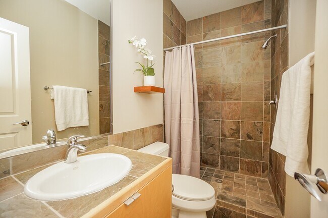 Building Photo - 228 Willard St