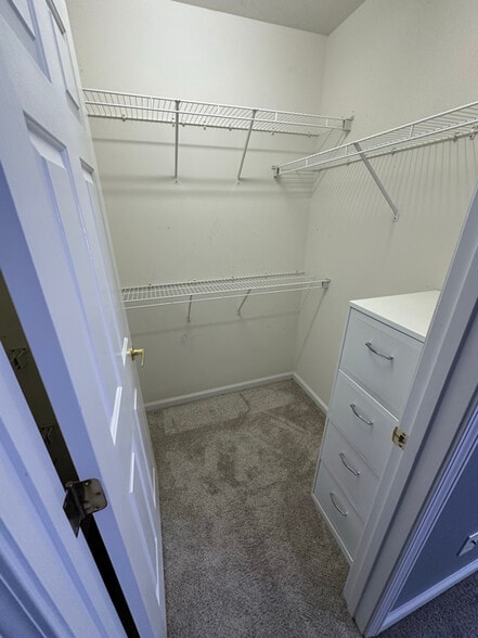 Building Photo - 4036 Holly Villa Cir