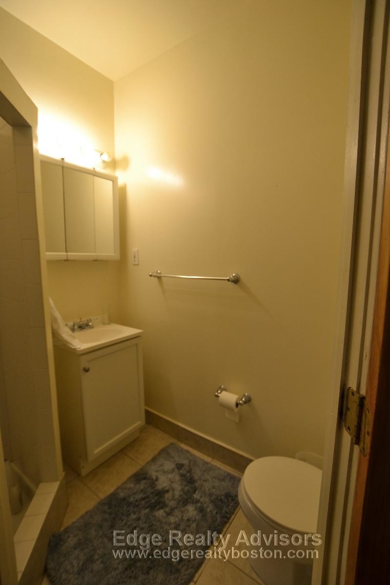 Building Photo - 209 Chestnut Hill Ave