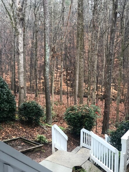 Nature surronding - 1405 Vicksburg Plz