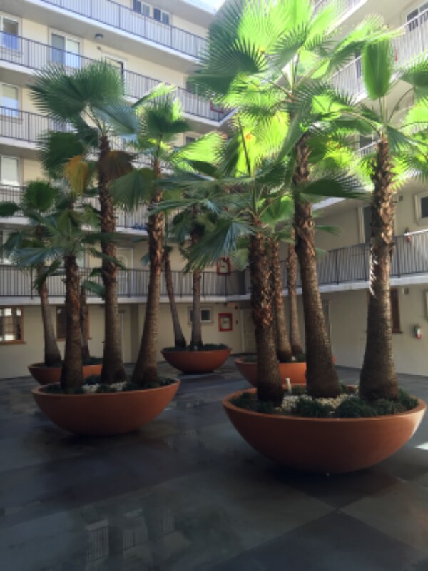 7100 Hillside Ave 7100 Hillside Ave Los Angeles CA 90046 Apartment