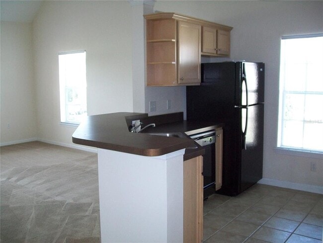 Building Photo - 12807 Madison Pointe Cir