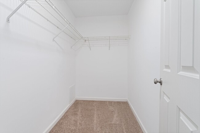 Building Photo - 7022 Dasher Farm Ct