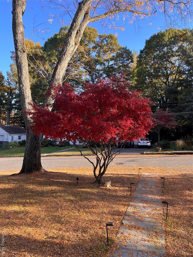 Building Photo - 110 Topland Rd