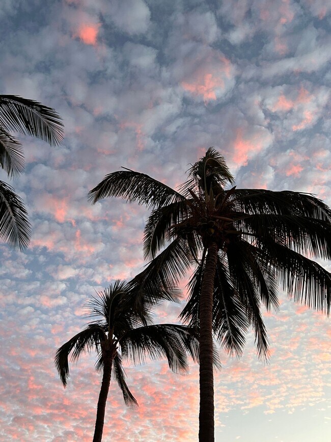 Building Photo - 2 bedroom 1.5 bathroom Ohana, across the street from the beach and park!