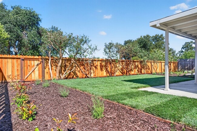 Building Photo - Northgate Beauty with Newly Landscaped Backyard, Top-Rated Schools & Prime Walnut Creek Location!