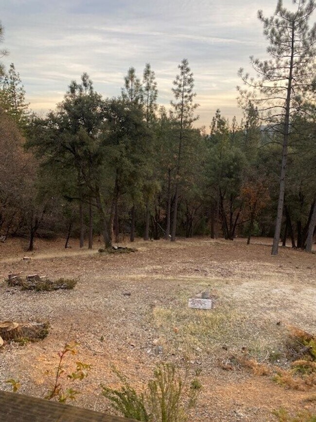 Building Photo - 3 Bedroom 2 Bathroom Manufactured home on ...