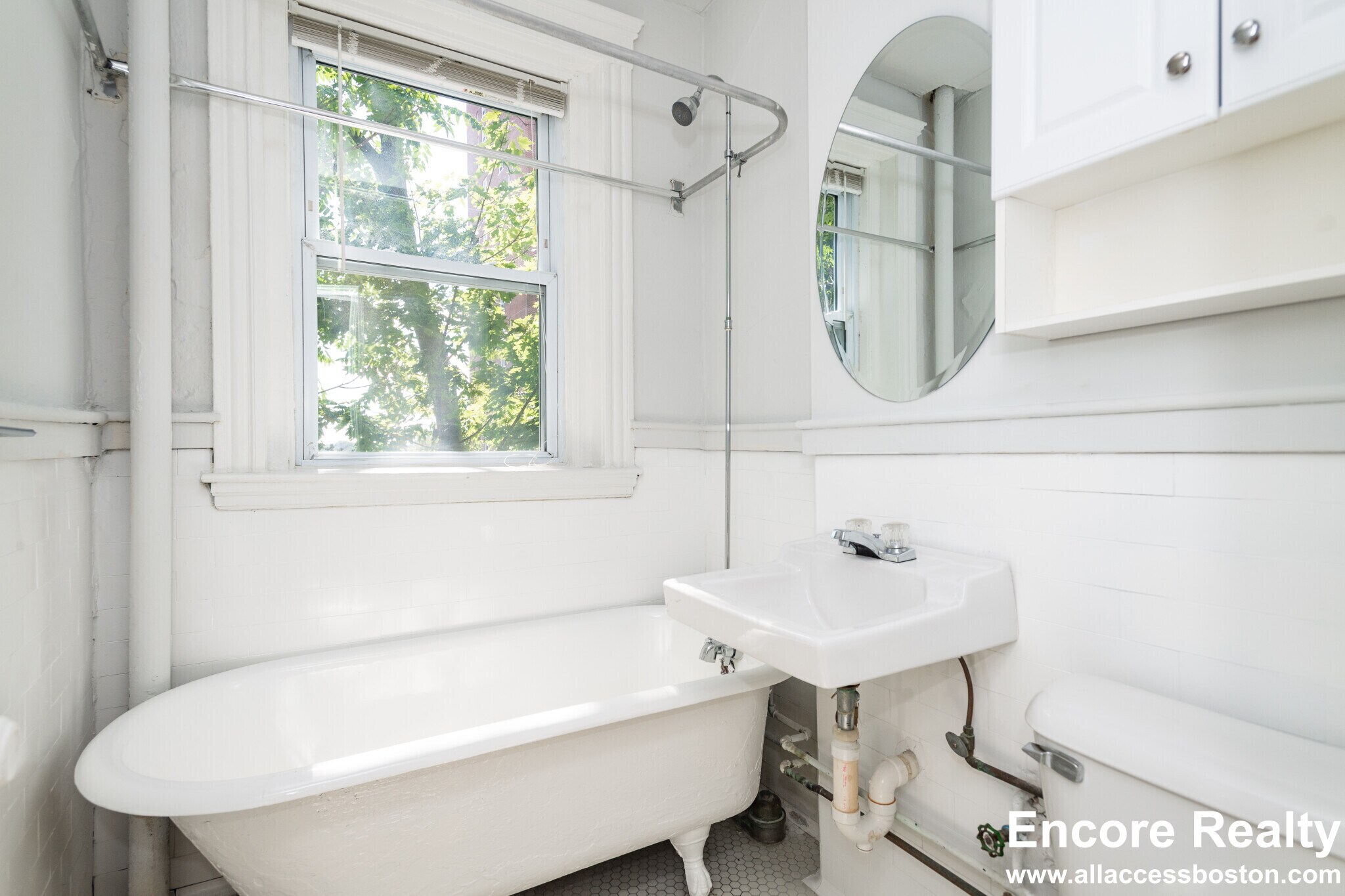 Building Photo - 49 Worthington St