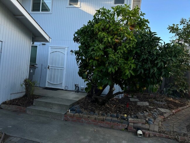 Building Photo - New Price $2,100.00 South Davis Townhome On Veranda Terrace,  3+1.5, Garage, Small backyard, Frui...