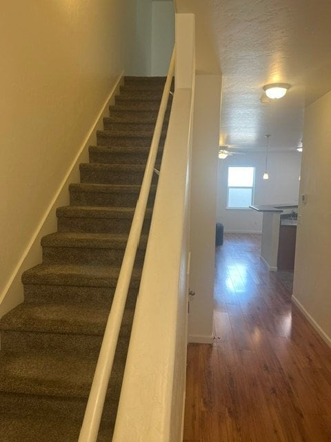 Building Photo - 613 Zenith Ln