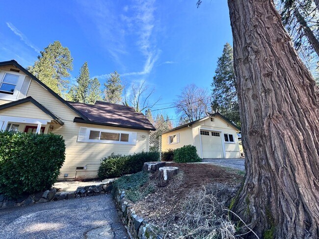 Building Photo - Welcome to this charming 3 bedroom, 2 bathroom house located in  Nevada City