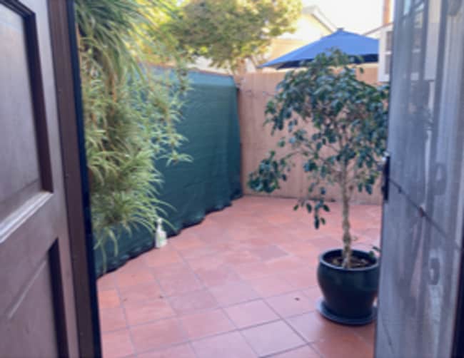 Building Photo - ***New Rental Home***