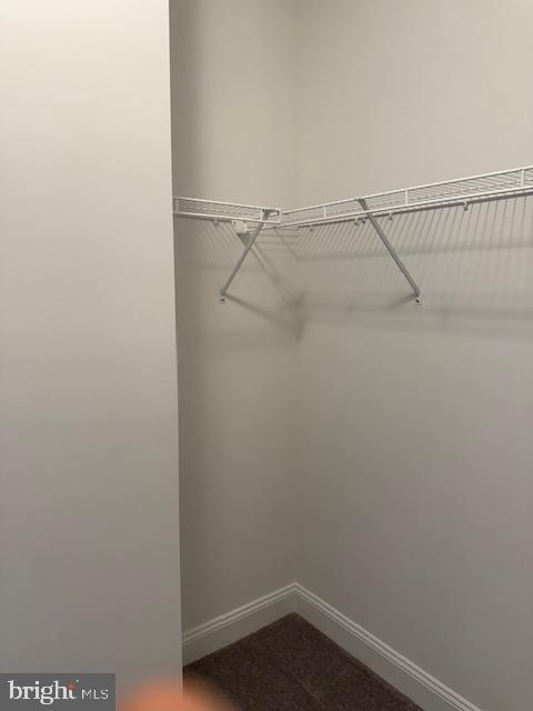 Building Photo - 316 Foxtail Ln