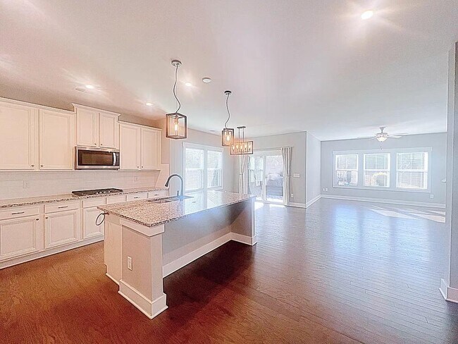 Building Photo - 213 Bank Swallow Wy