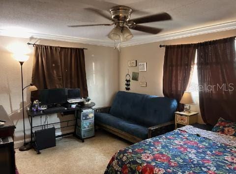 Building Photo - 4009 Bancroft Dr