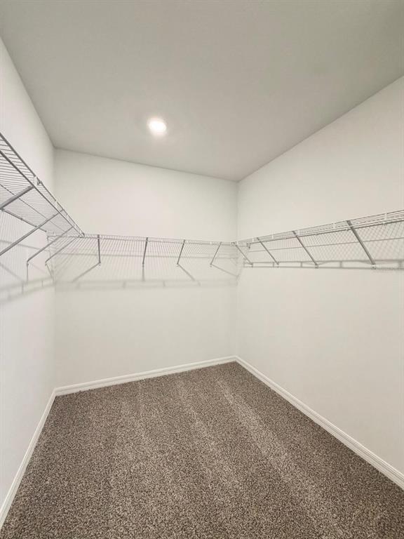 Building Photo - 4526 Windy Oak Wy