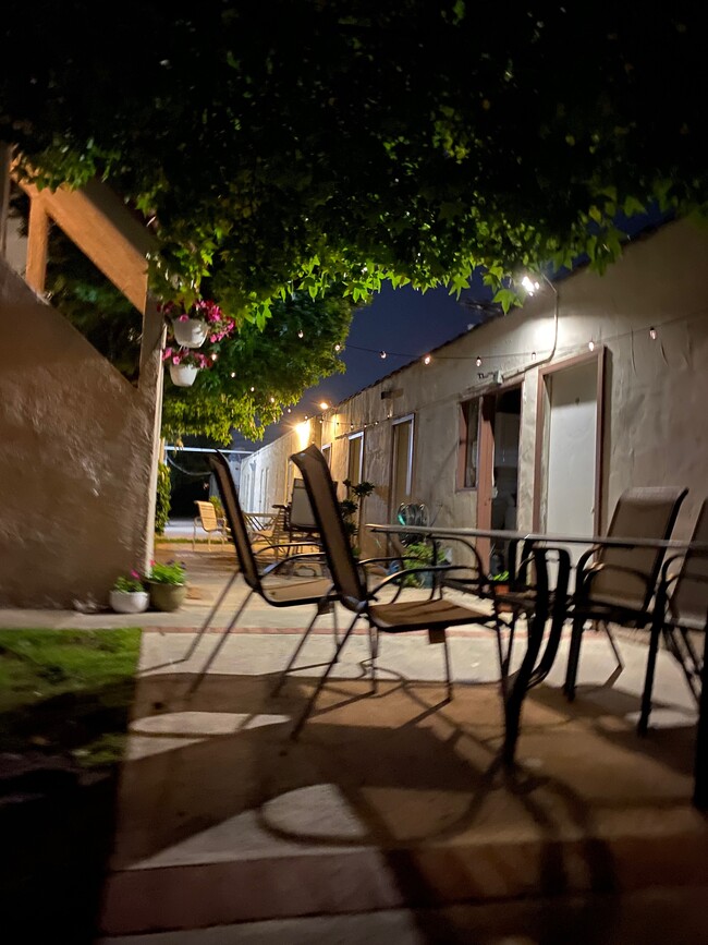 Backyard at night - 1133 Wooster S St