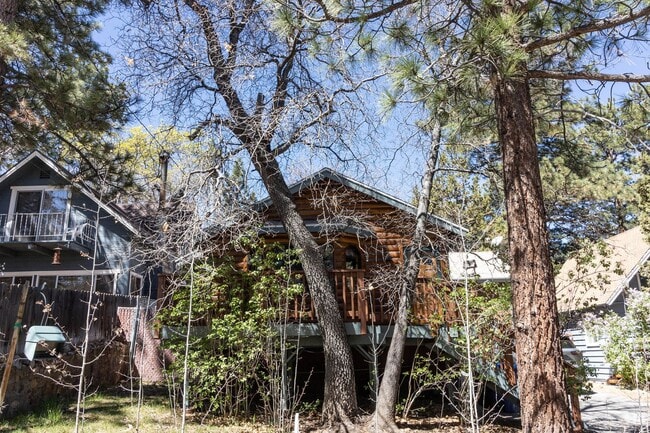 Building Photo - Sugarloaf Cutie
