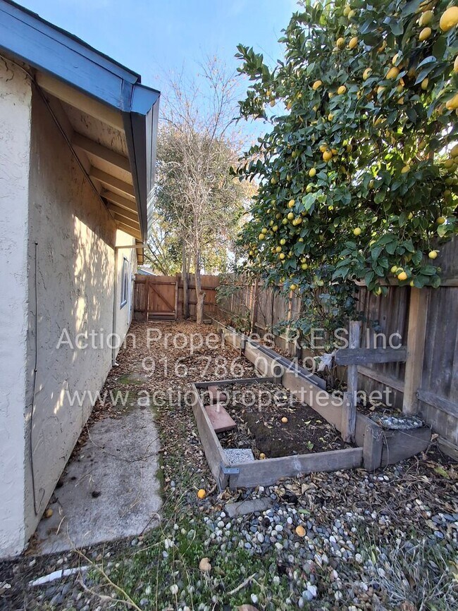 Building Photo - Antelope R.V. Parking, Single Story: Large Yard: RV Parking: 3 Bed, 2 Bath - Foothill Farms/Antelope