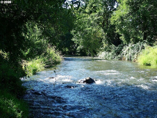 Building Photo - Furnished one Bedroom Apartment on 27 Acre...
