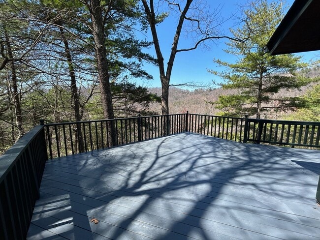 Building Photo - Central AVL - Large Custom Built Home with...