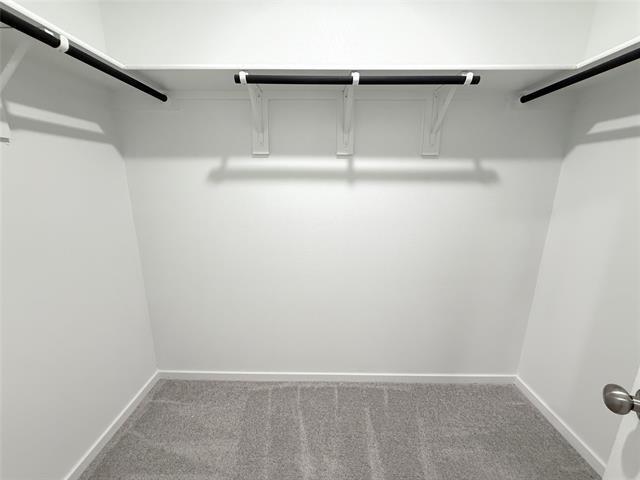 Building Photo - 3113 Burmese St