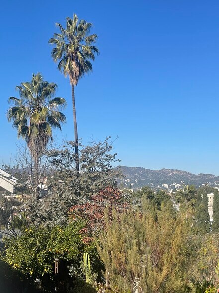 Building Photo - 837 N La Fayette Park Pl