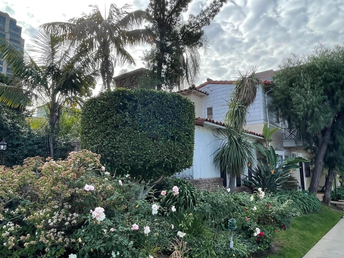 landscape - 10806 Lindbrook Dr