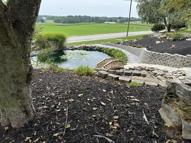 View of the pond and bridge - 6245 Iron Bridges Rd