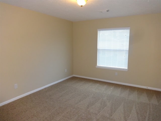 Building Photo - 9031 Ferndale View Dr