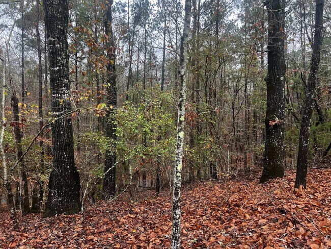 Building Photo - 95 Oakwood Dr