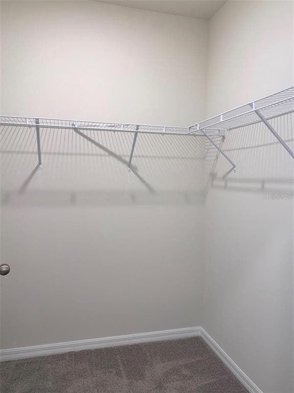 Building Photo - 613 Hickory Course Loop