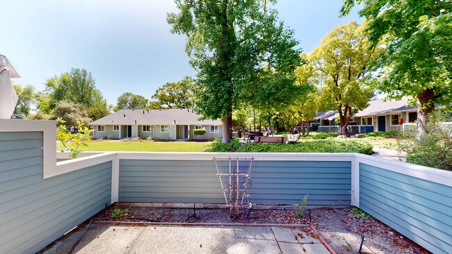 Building Photo - 356 Robinson St