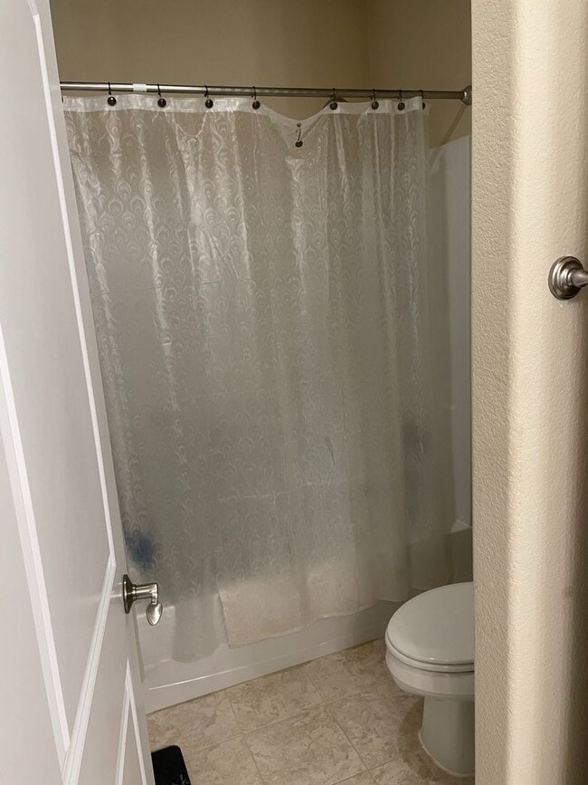 Building Photo - Beautiful 4 Bed 3 Bath House in Northeast Fort Collins!