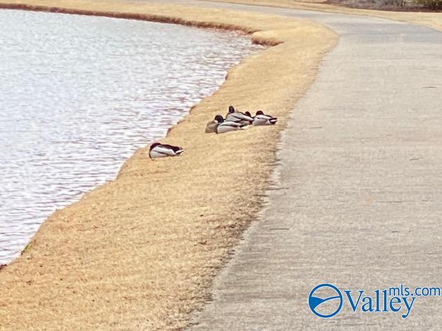 Building Photo - 275 Old Overton Dr