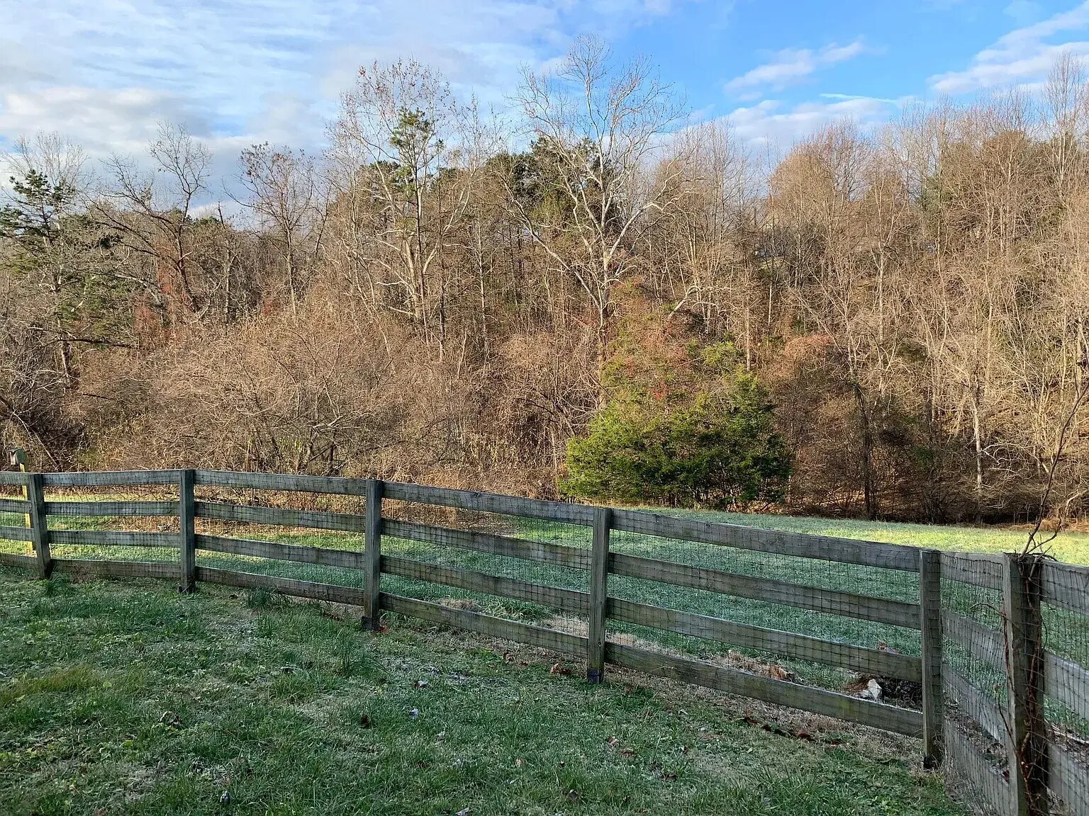 Building Photo - 1012 Amber Ridge Rd