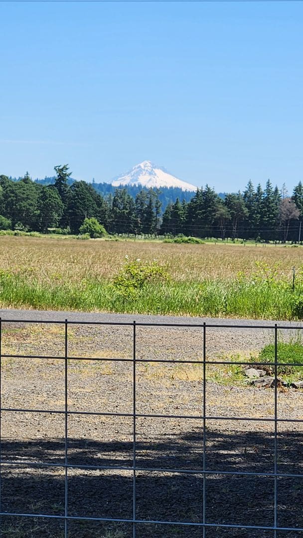 Building Photo - Molalla Country Home