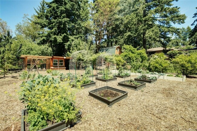 Building Photo - 4Bd/1.75Ba Seattle Home