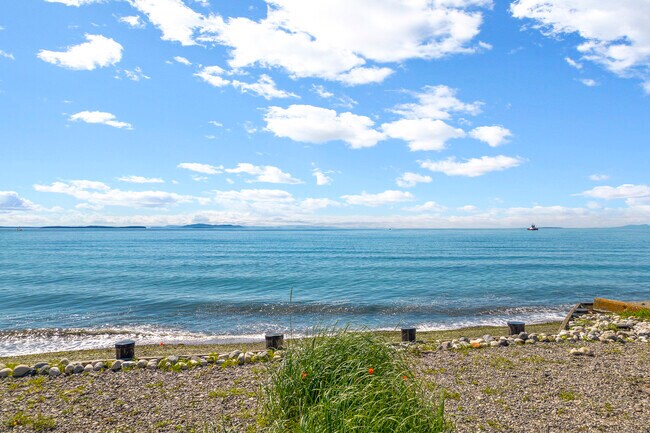 Building Photo - 4183 Sucia Dr