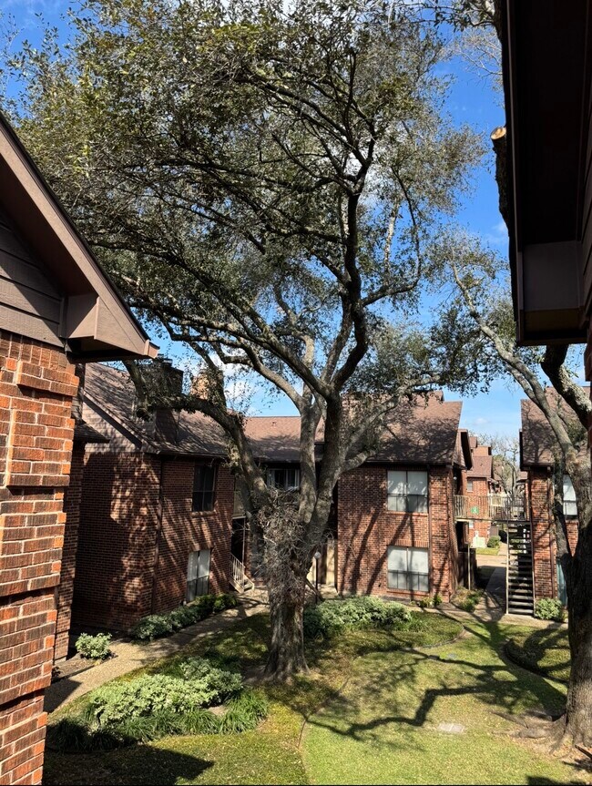 Building Photo - 3130 Walnut Bend Ln