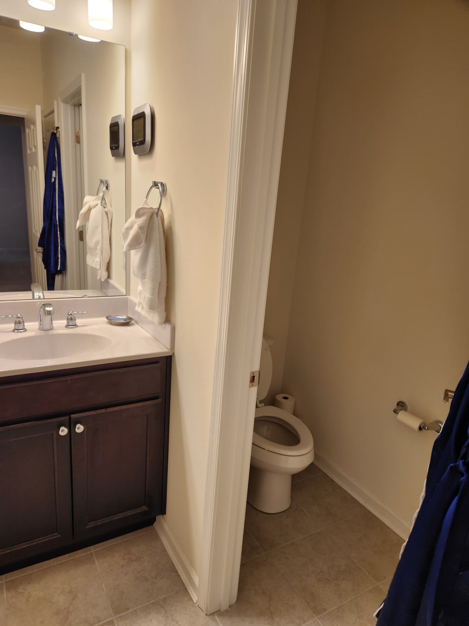 Master Bathroom Toilet - 30246 Piping Plover Dr