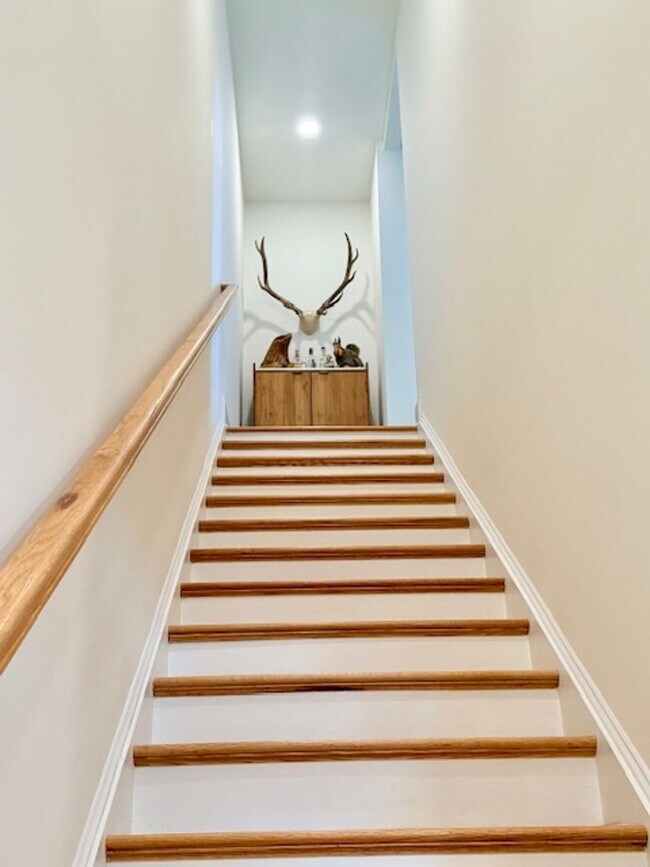 Building Photo - LUXURY TOWNHOME IN FOREST ACRES