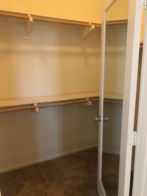 3rd Floor Master Bedroom Closet - 315 Royal Gln