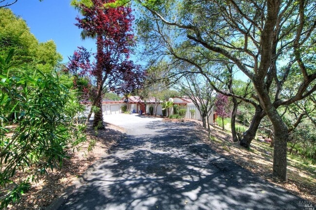 Building Photo - 13 Black Oak Ln
