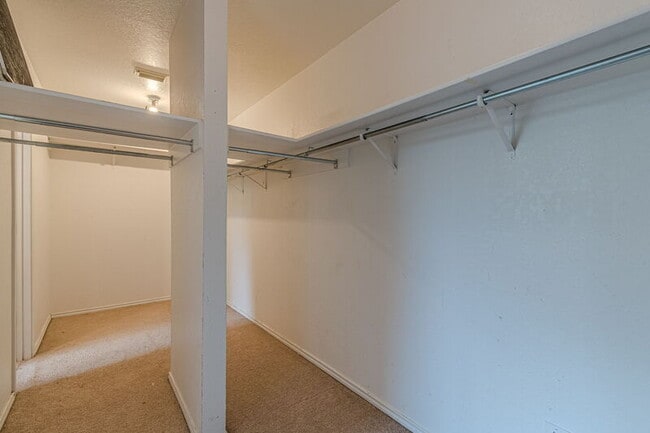 Building Photo - 164 Springtree Hollow