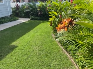 Building Photo - 354 Kaiwahine St