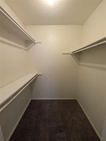 Building Photo - 7431 Holly Hill Dr