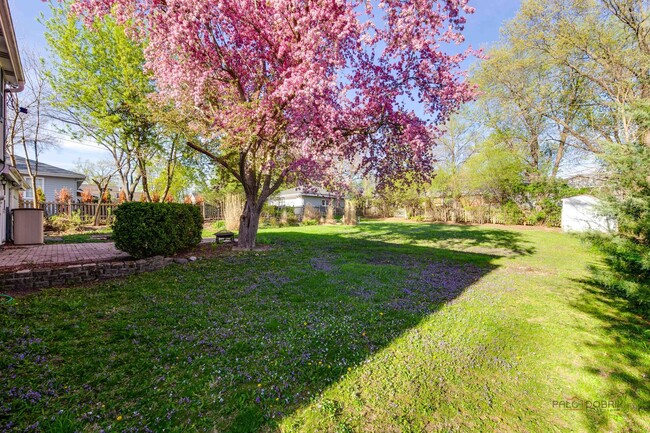 Building Photo - 813 Meadow Ln